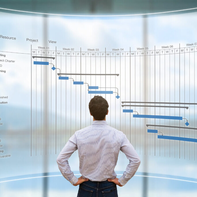 Projektledelse ydelser